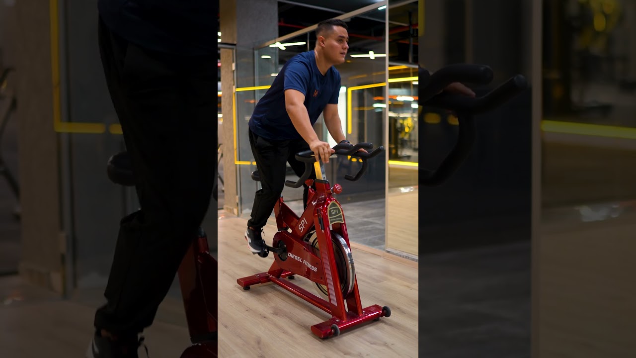 Navitas Acilis Reels Logosuz