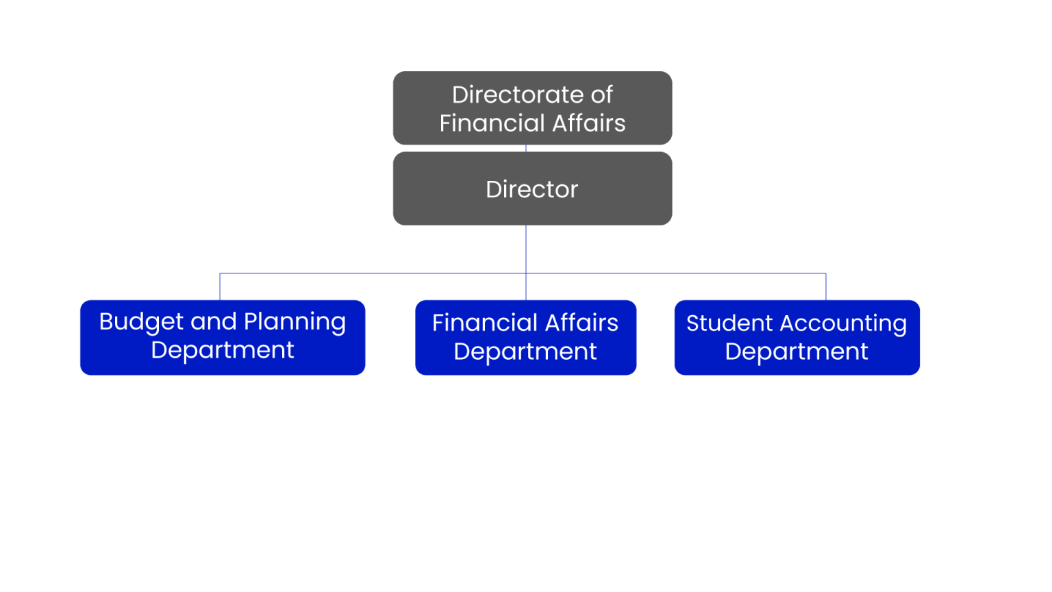 Organization Chart | Directorate of Financial Affairs | Haliç University